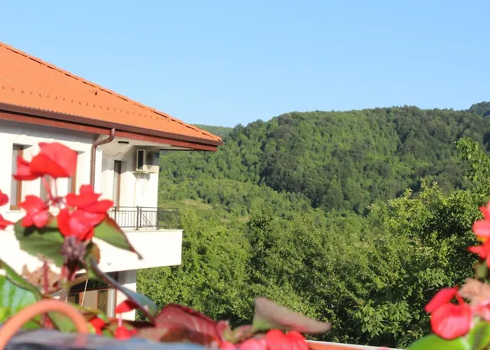 бадевски рай- къща софия * Велико Търново