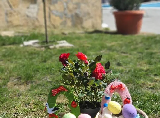 бадевски рай- къща софия * Велико Търново